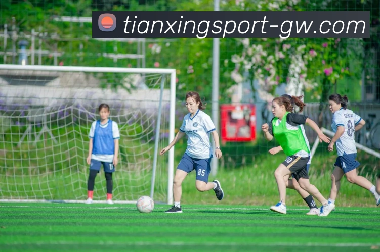 App Interface Preview