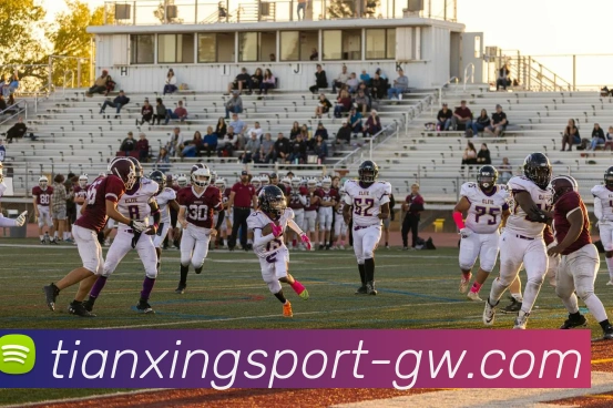 天行体育APP 封面图